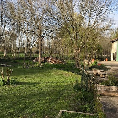 Ancien Moulin A Eau Sur La Seugne Lejlighed Mosnac  Eksteriør billede