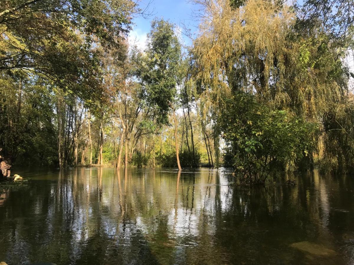 Ancien Moulin A Eau Sur La Seugne Lejlighed Mosnac  Eksteriør billede